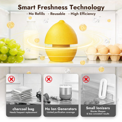 iKoffy FreshGuard Fridge Deodorizer