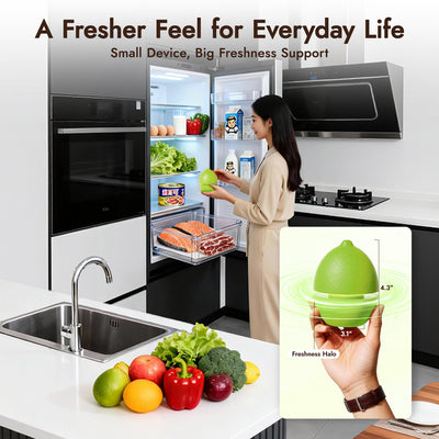 iKoffy FreshGuard Fridge Deodorizer