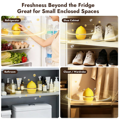 iKoffy FreshGuard Fridge Deodorizer