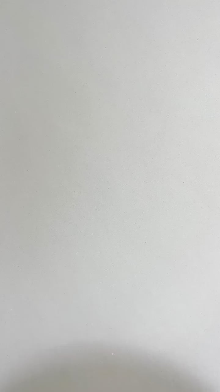 動画を読み込む